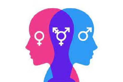 Construcción de la identidad de género a través de los proverbios y su análisis léxico